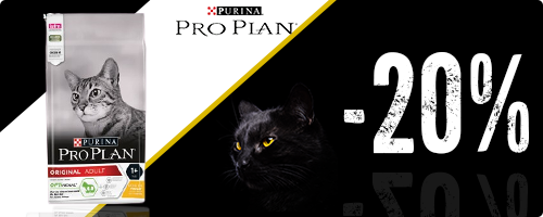 Fino al sconto del 20% sul cibo per gatti Pro Plan
